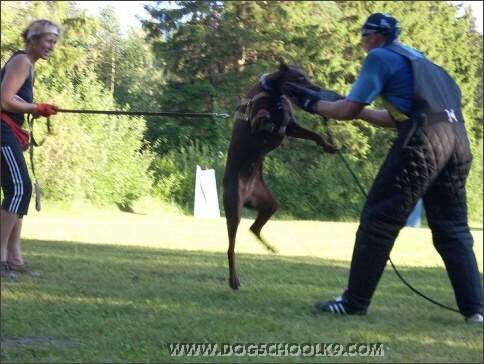 Summer training camp in Estonia 2007